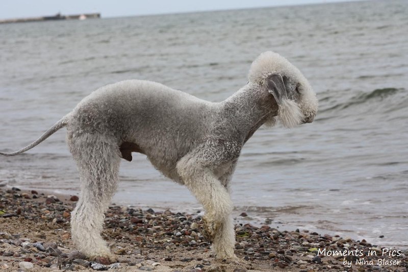 2010-06-26 Arc-en-ciel Arlequin (59).jpg